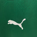 Camisa do Palmeiras I 25/26 Torcedor Verde