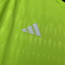 Camisa do Real Madrid Goleiro 23/24 Torcedor Verde