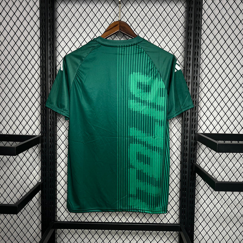 Camisa da Itália Treino 2024 Torcedor Verde