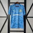 Camisa do Palmeiras Goleiro 25/26 Torcedor Azul