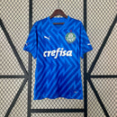 Camisa do Palmeiras Goleiro 24/25 Torcedor Azul