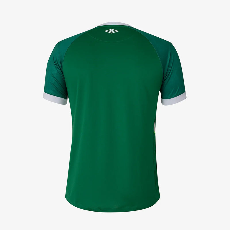Camisa da Chapecoense I 23/24 Torcedor Verde