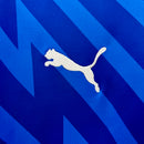 Camisa do Palmeiras Goleiro 24/25 Torcedor Azul