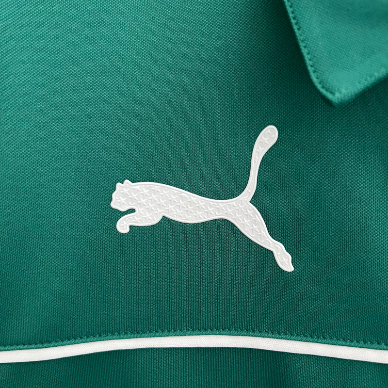 Camisa do Palmeiras Edição Especial 23/24 Torcedor Verde