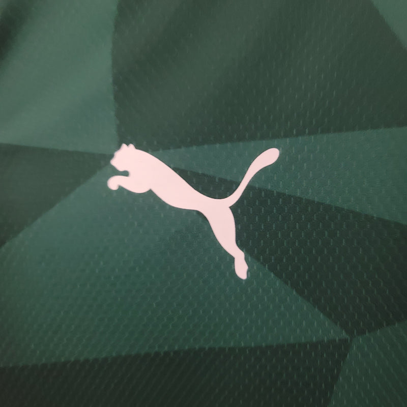 Camisa do Palmeiras I 23/24 Torcedor Verde
