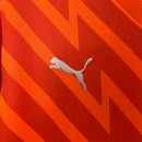 Camisa do Palmeiras Goleiro 24/25 Torcedor Laranja